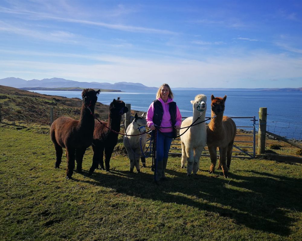 Leafield Alpacca Trekking | Isle of Bute